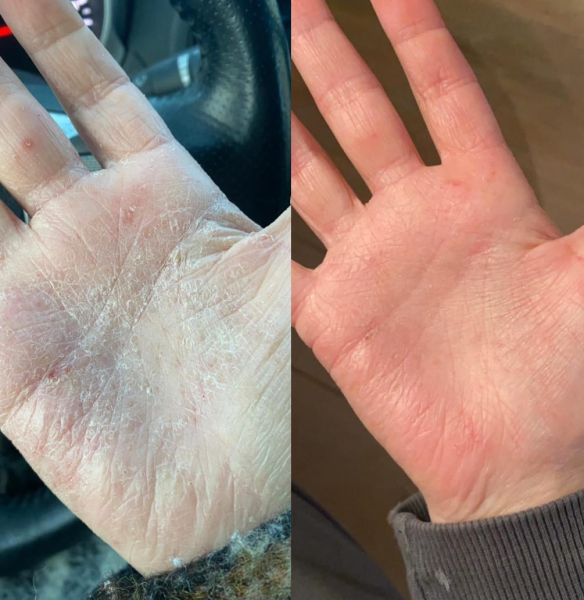 F74865E9 122B 43DA AD8C 67DB210463A8